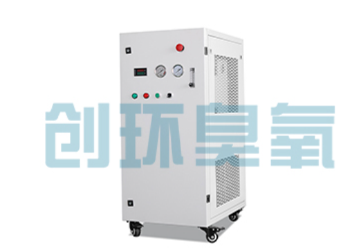 山南石斑鱼养殖水质调控完整指南:臭氧发生器配置与操作步骤
