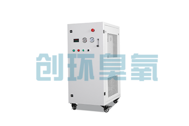 山南比传统换水更高效？臭氧发生器在石斑鱼养殖中的水质净化原理解析